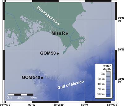 Origin of Sedimentary BHPs Along a Mississippi River–Gulf of Mexico Export Transect: Insights From Spatial and Density Distributions